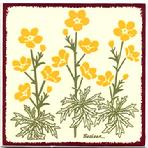 Buttercup Flowers Tile, Wall Plaque, Trivet BB-16 $32.95