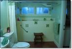 Bathroom with Botanical Tiles installed